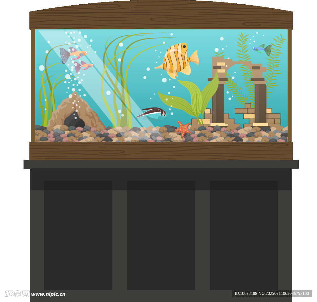 精美热带鱼水族箱展示