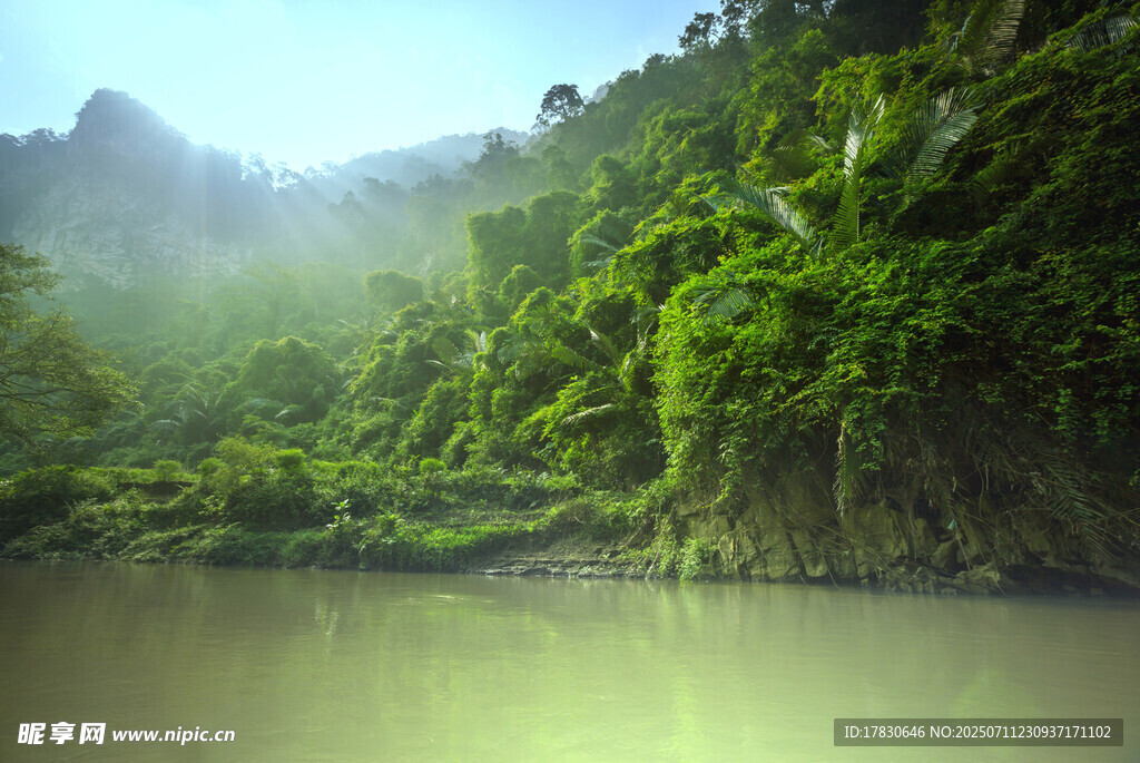 山间绿水畔的葱郁景致