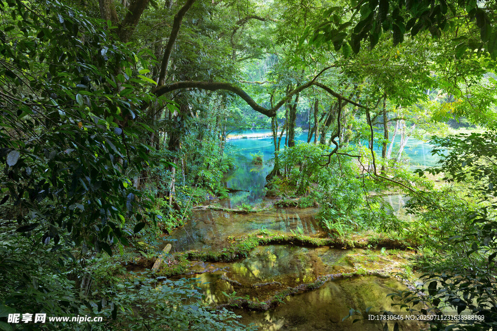 丛林中的隐秘蓝色水域