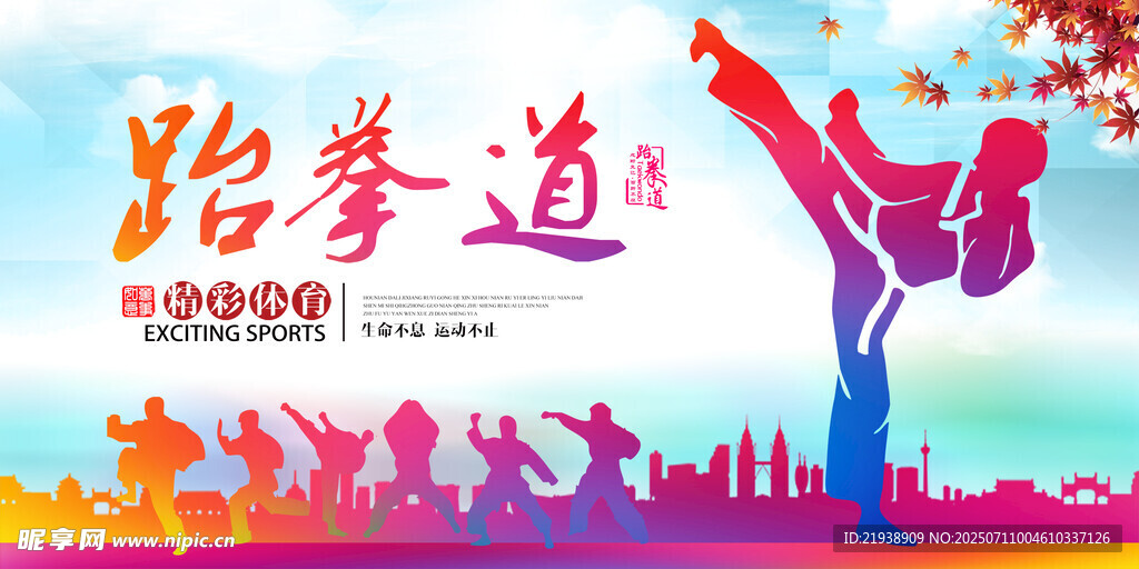 跆拳道海报