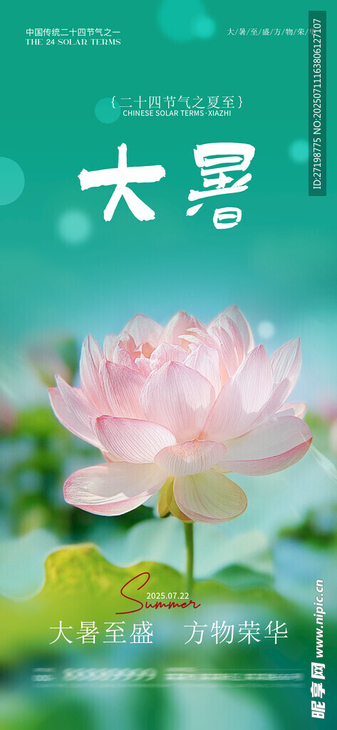 2025大暑节气海报