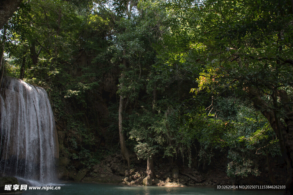 森林中的美丽瀑布景观