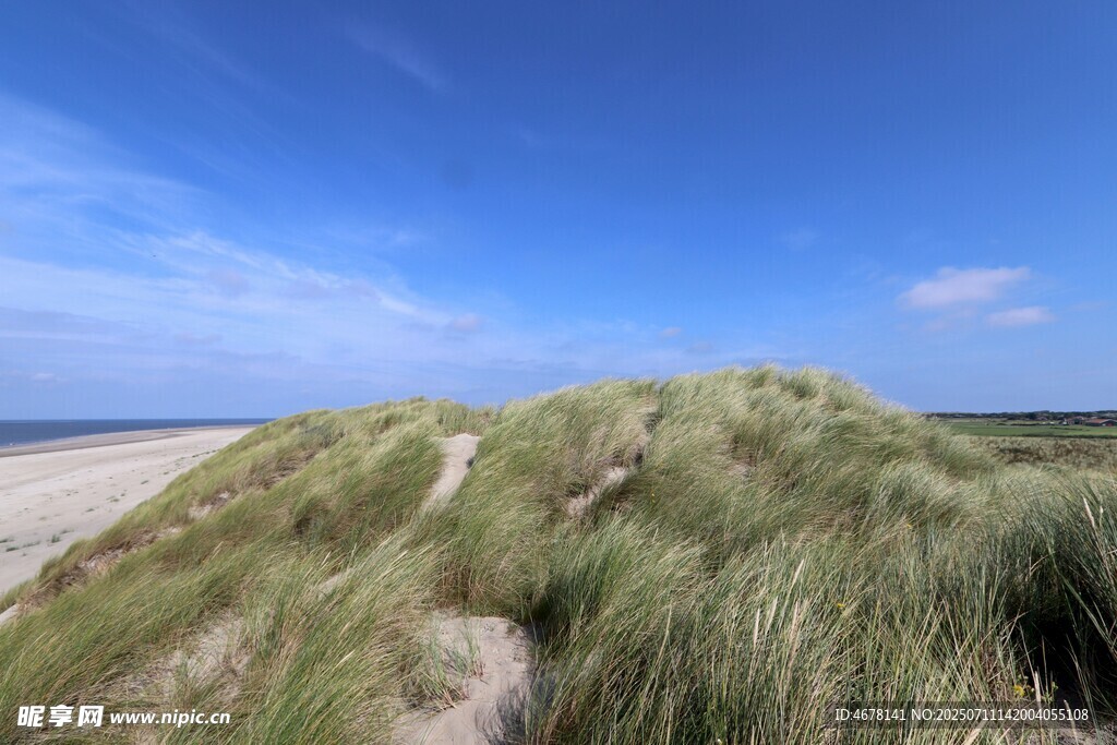海边沙丘蓝天绿草美景
