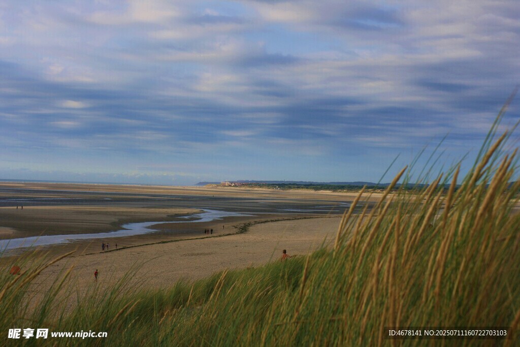 海边草地与蜿蜒河流美景