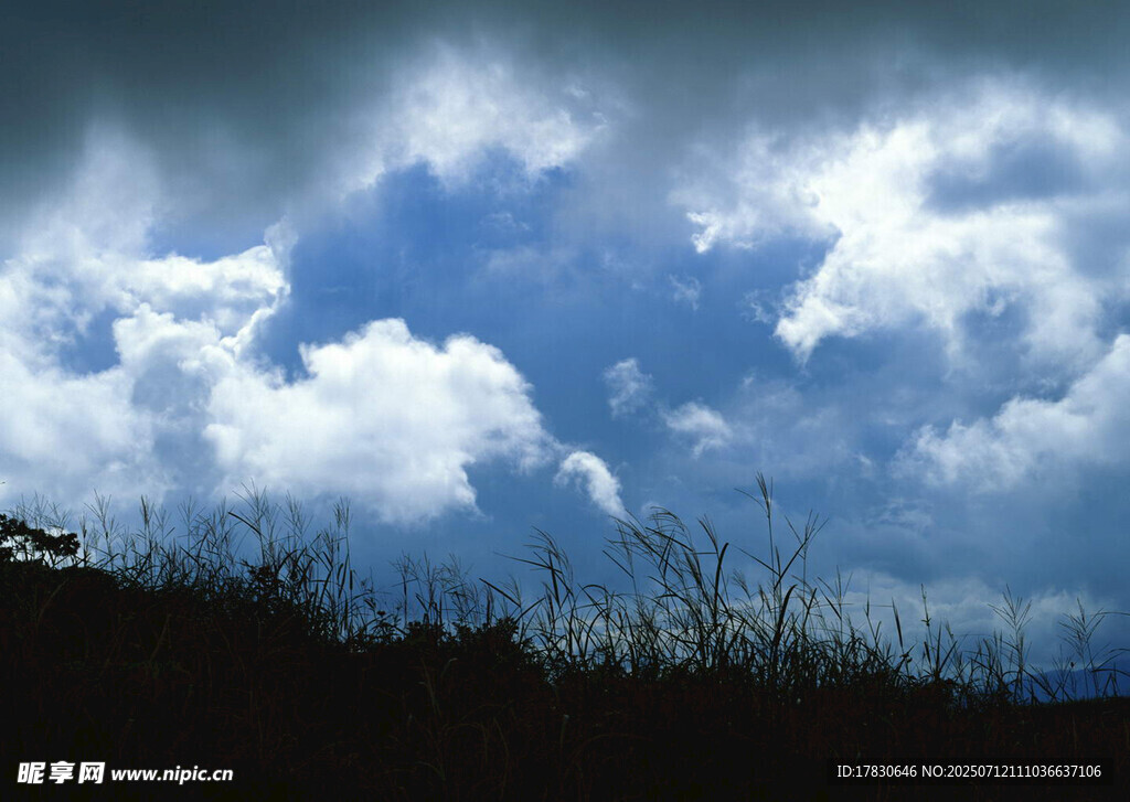 乌云下的旷野景色