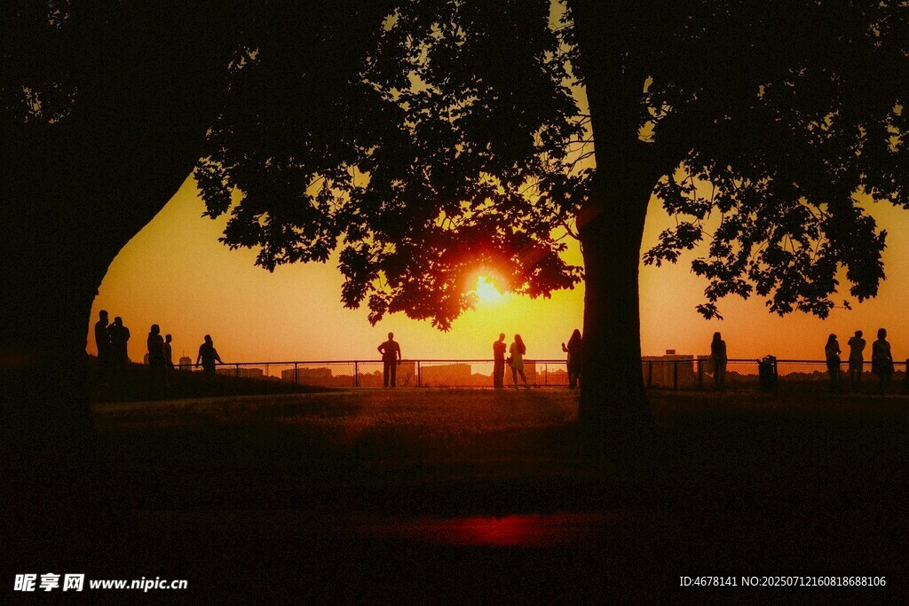 夕阳下的树影与人群剪影