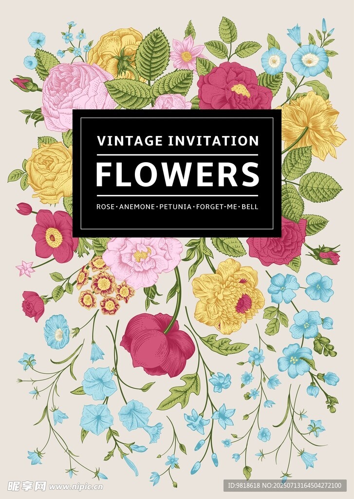 边框花卉矢量花