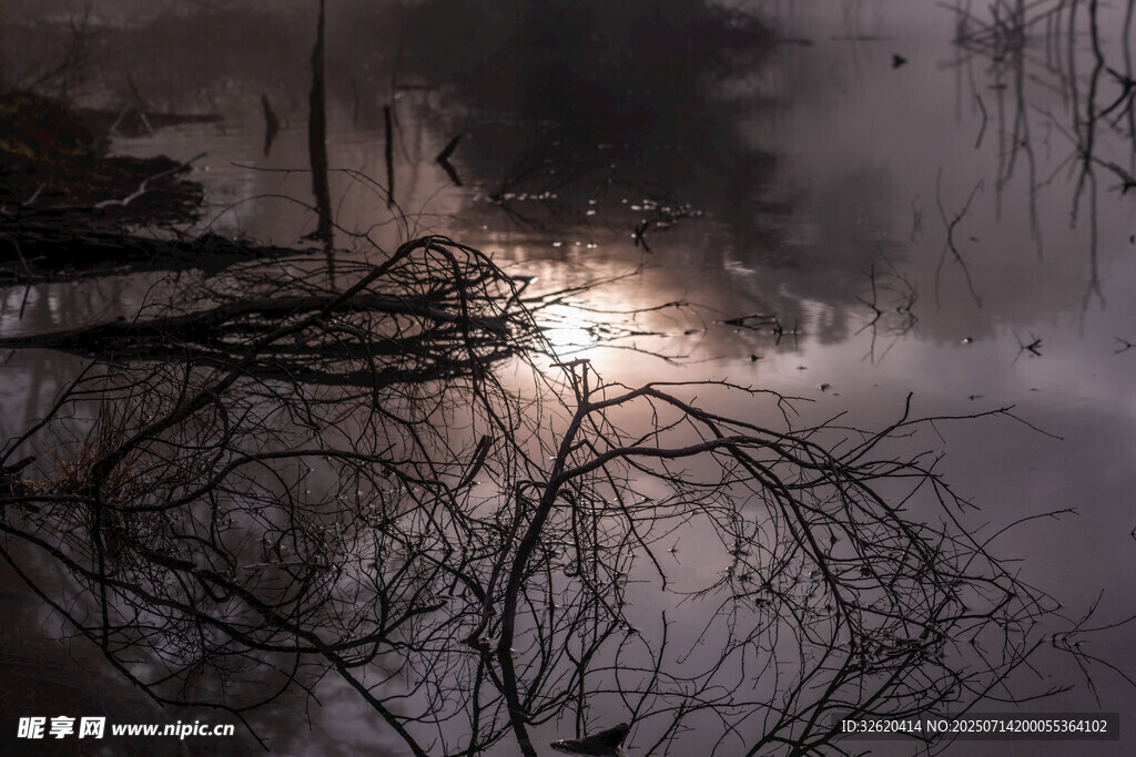 暴风雨后的杂乱景象
