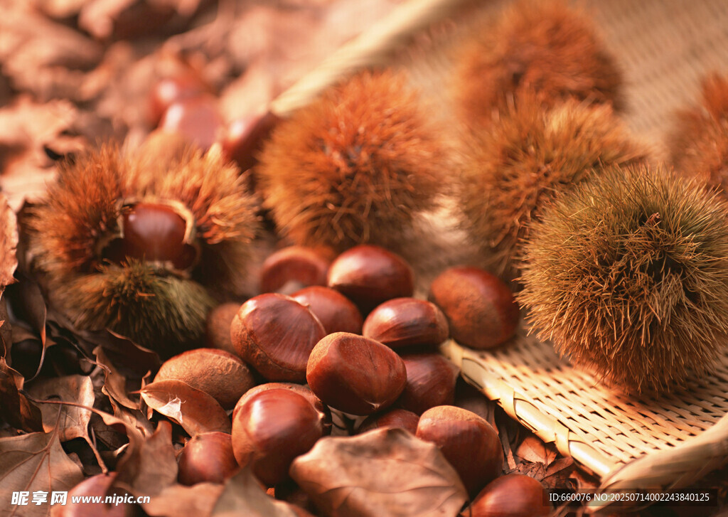 饱满板栗与落叶的秋日景象