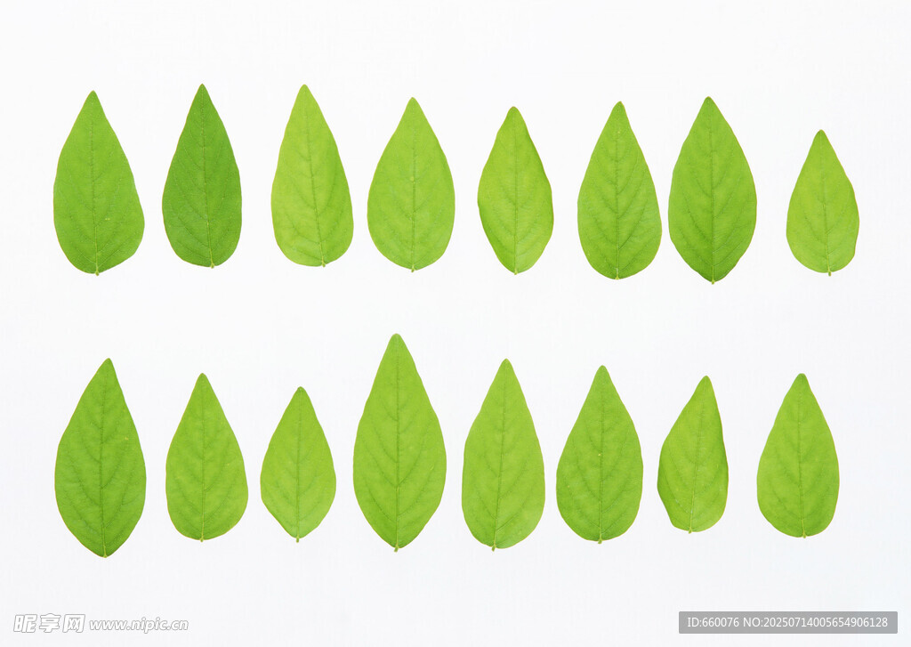 绿色水滴形叶片图案