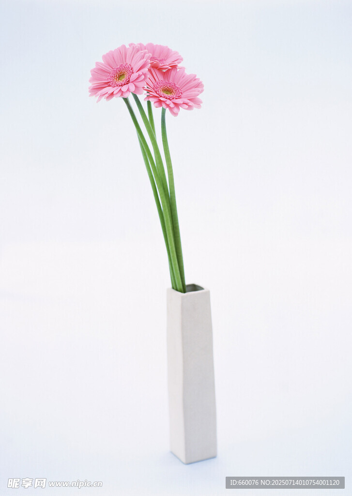 白色花瓶中的粉色花卉