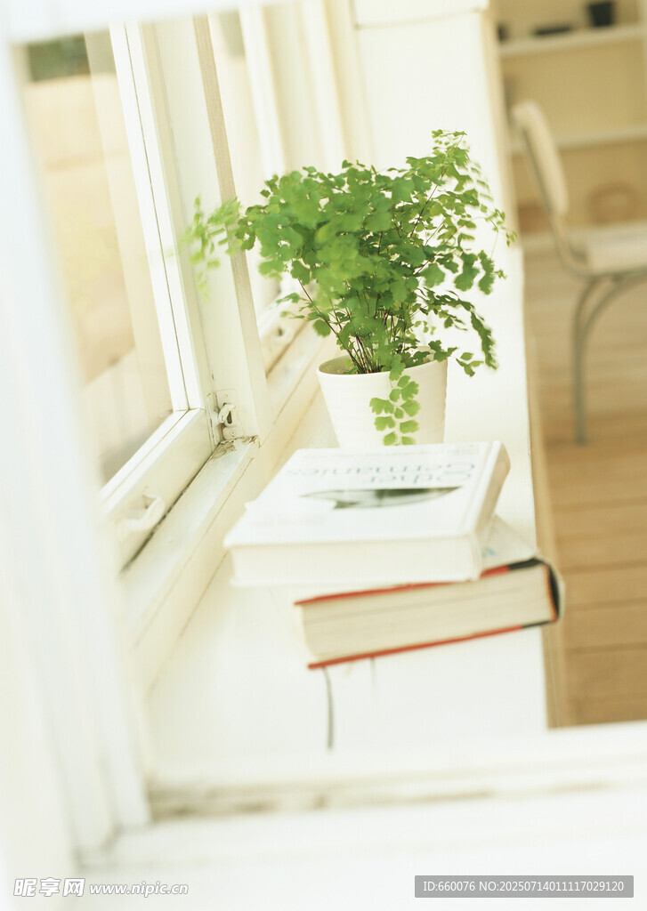 窗边绿植装点温馨角落