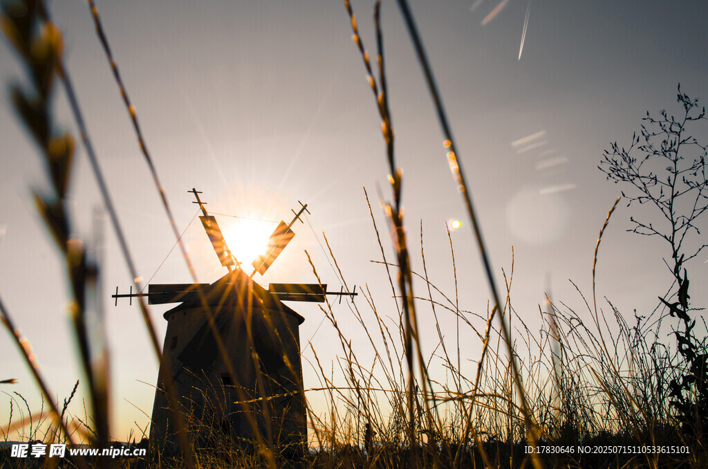 夕阳下的风车与芦苇