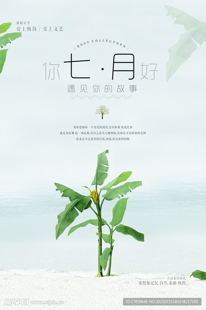 七月清新植物风景图