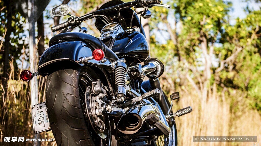 复古摩托车停于林间