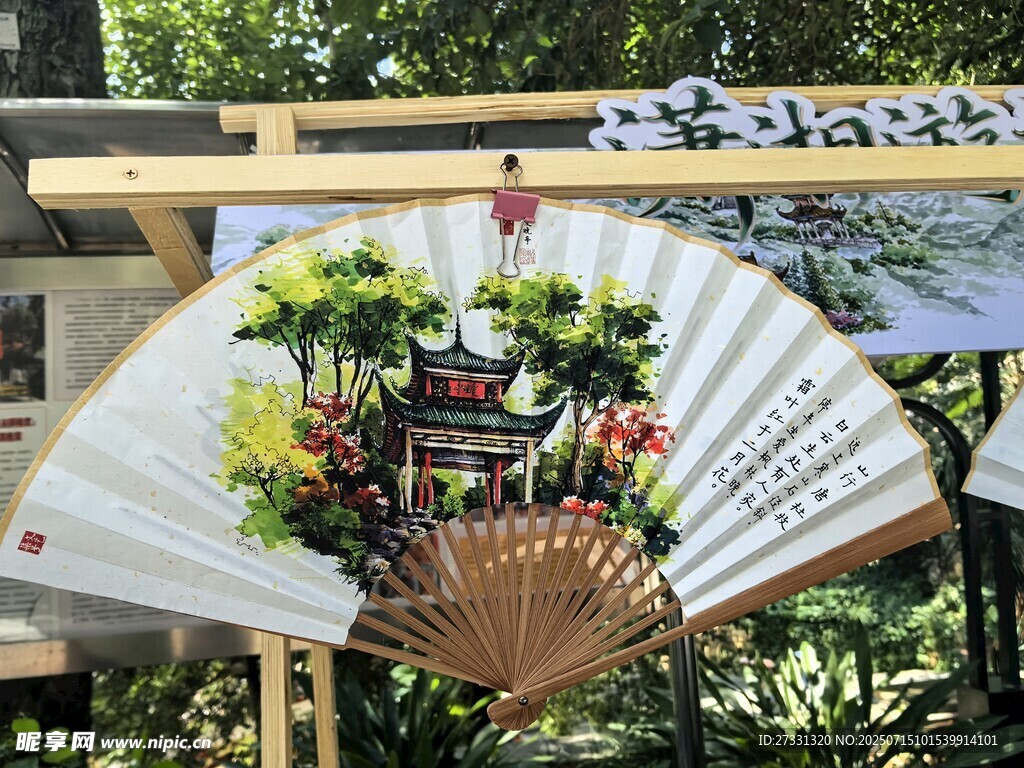 手绘花卉折扇展示