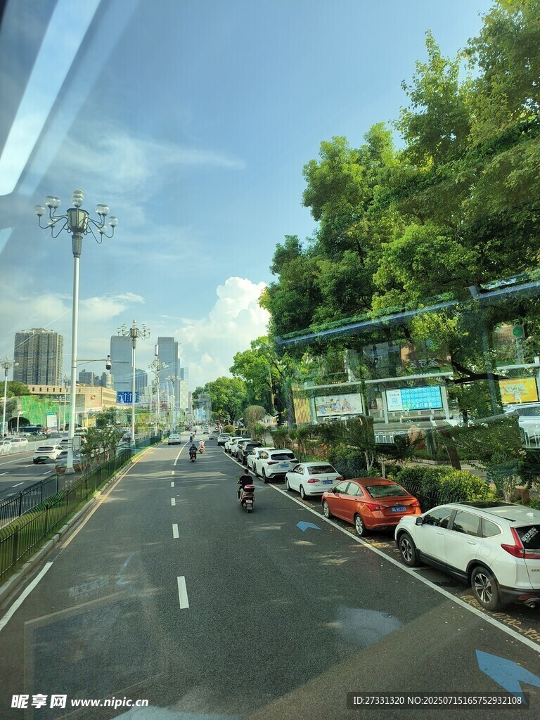 城市道路上的车辆与绿树