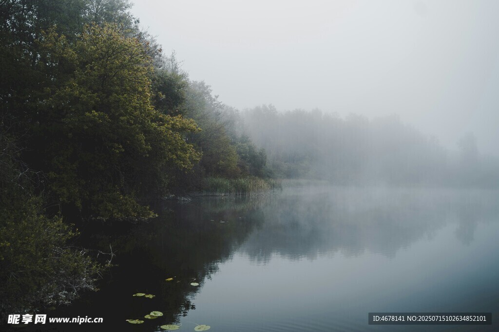 雾中湖畔静谧风光