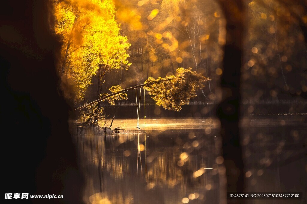 秋日湖畔光影美景