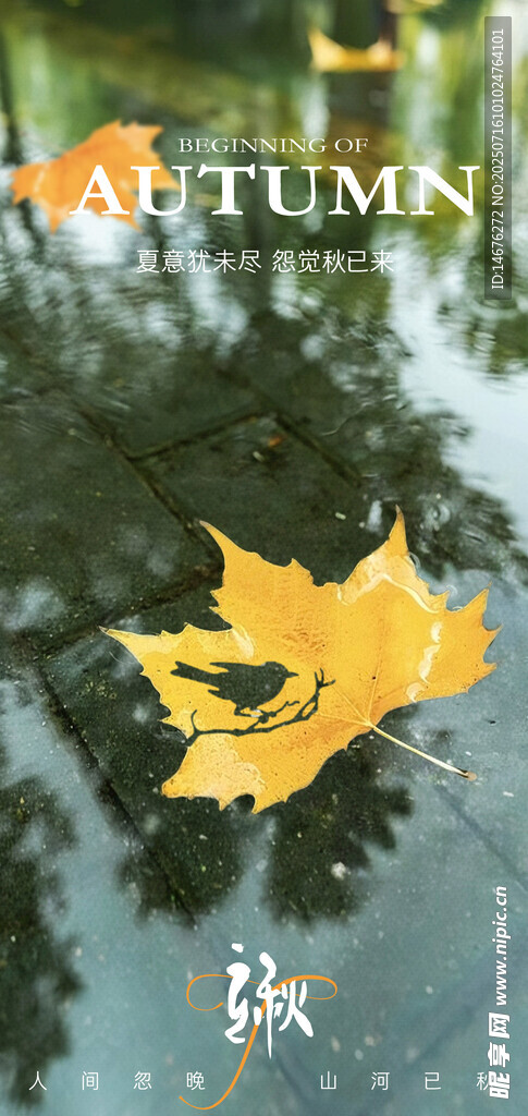  立秋海报