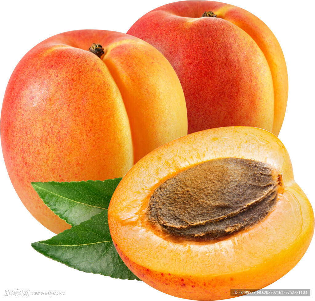 新鲜诱人的黄杏果实