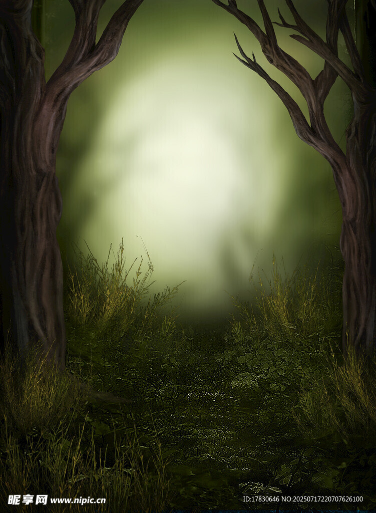 神秘幽森的林间月夜景象