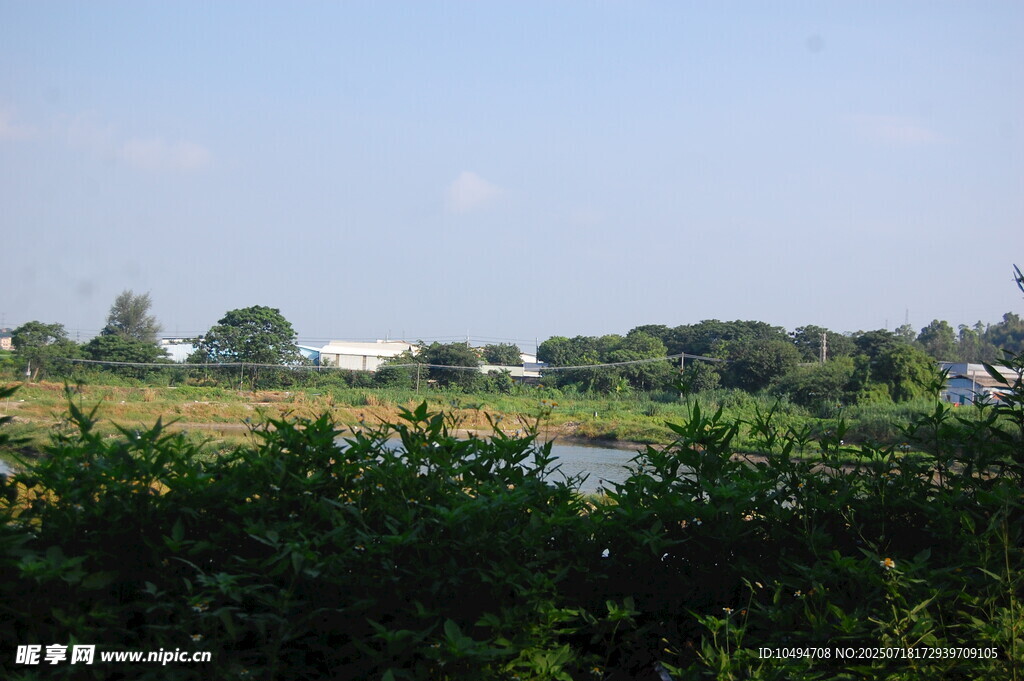 郊外绿意盎然的自然景观