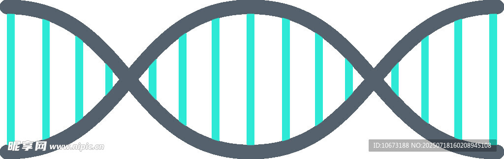 双螺旋DNA结构示意图