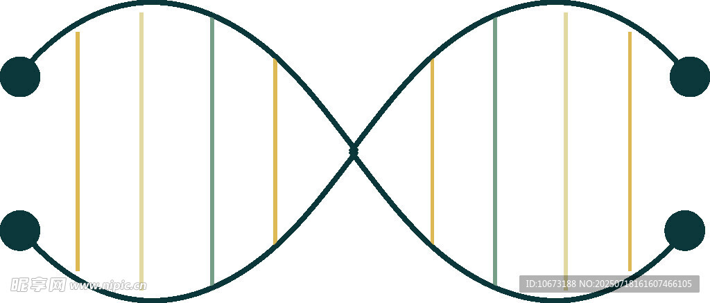 双螺旋DNA结构示意图