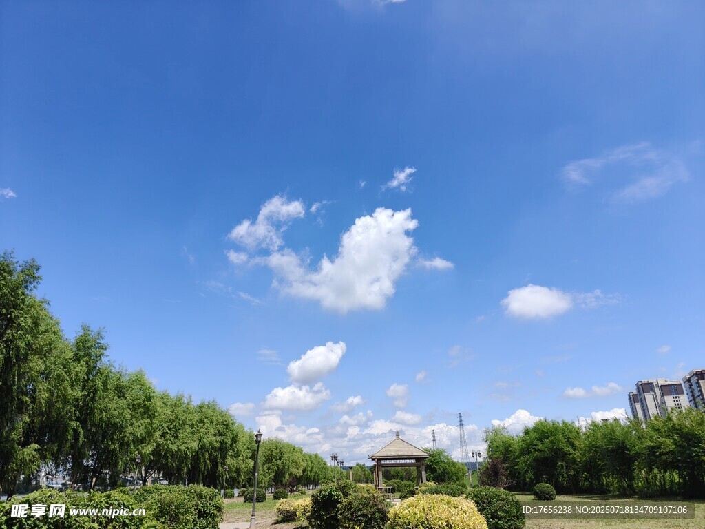 蓝天绿树间的清新景致