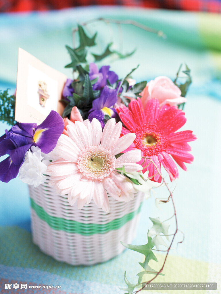 彩色小花篮中的缤纷花卉