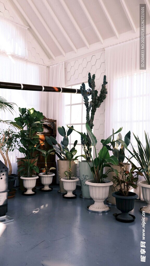 室内绿植摆放场景