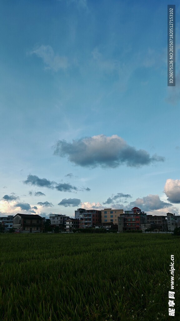 田野上的蓝天与远处建筑