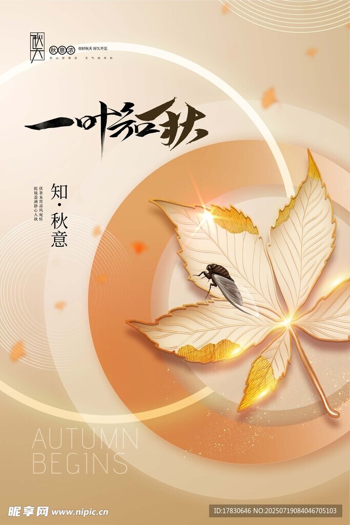 一叶知秋意境插画