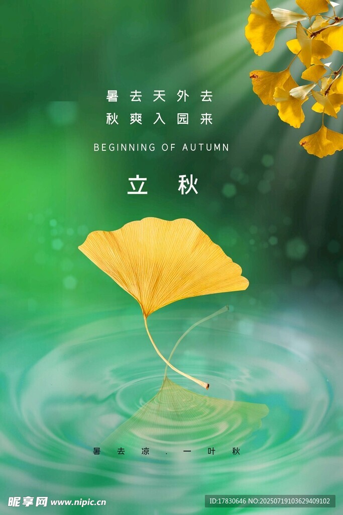 立秋银杏落叶入水画面