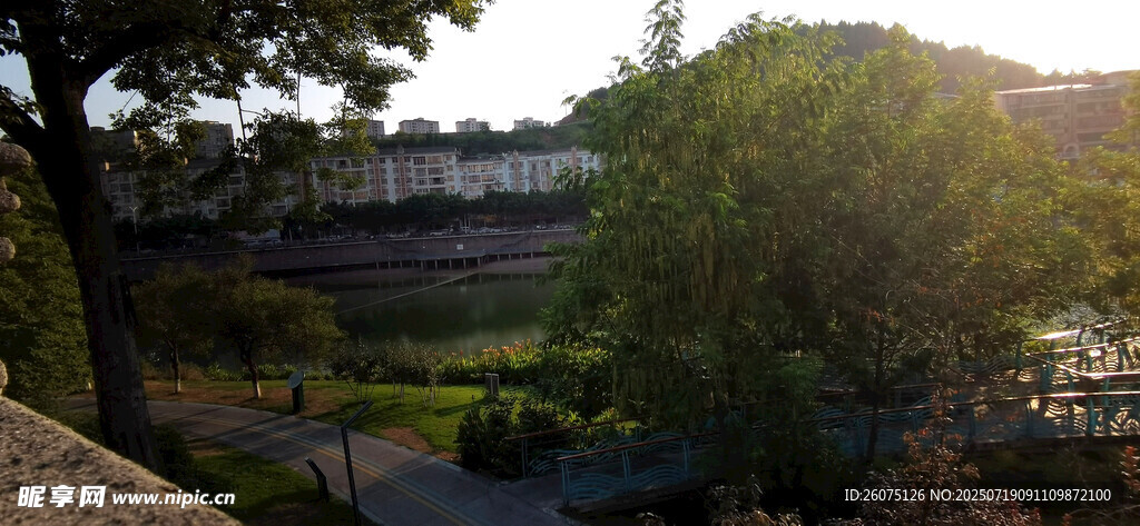 黄昏下的绿树与远处建筑