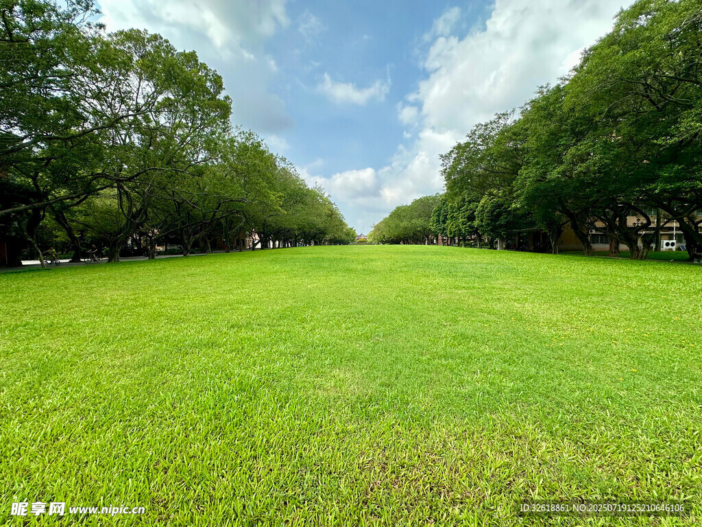 中山大学的开阔草地