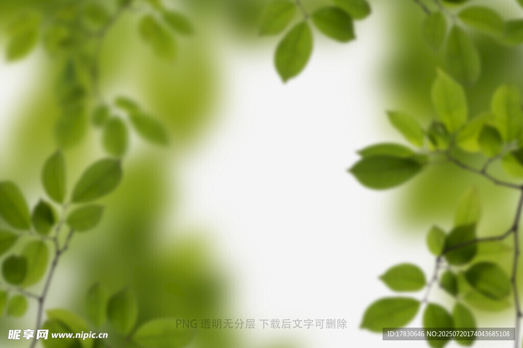 树叶虚化前景