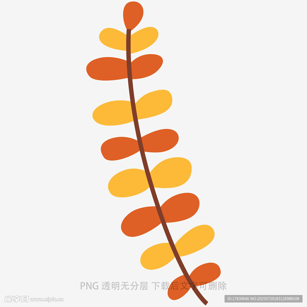 秋日彩色叶片装饰插画