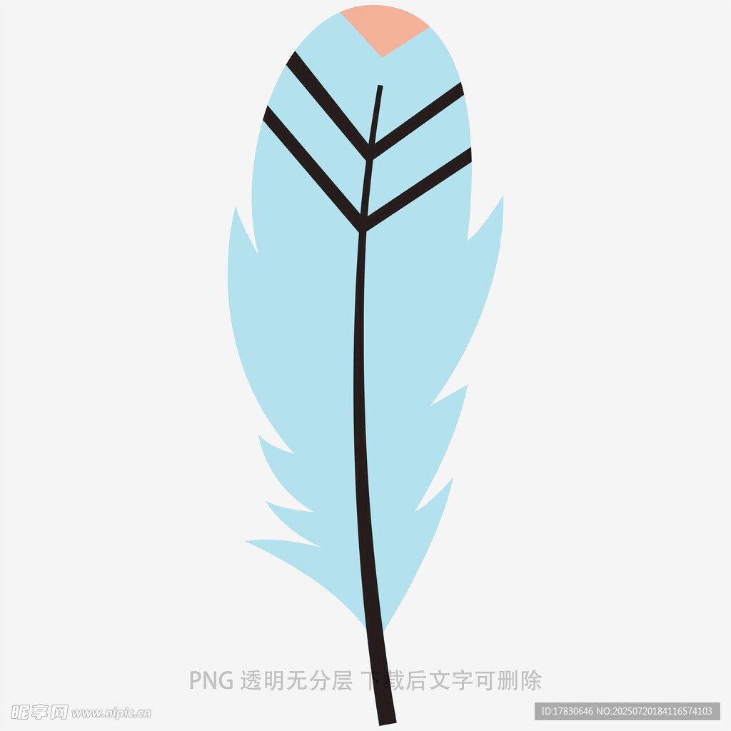 浅蓝色简约羽毛插画