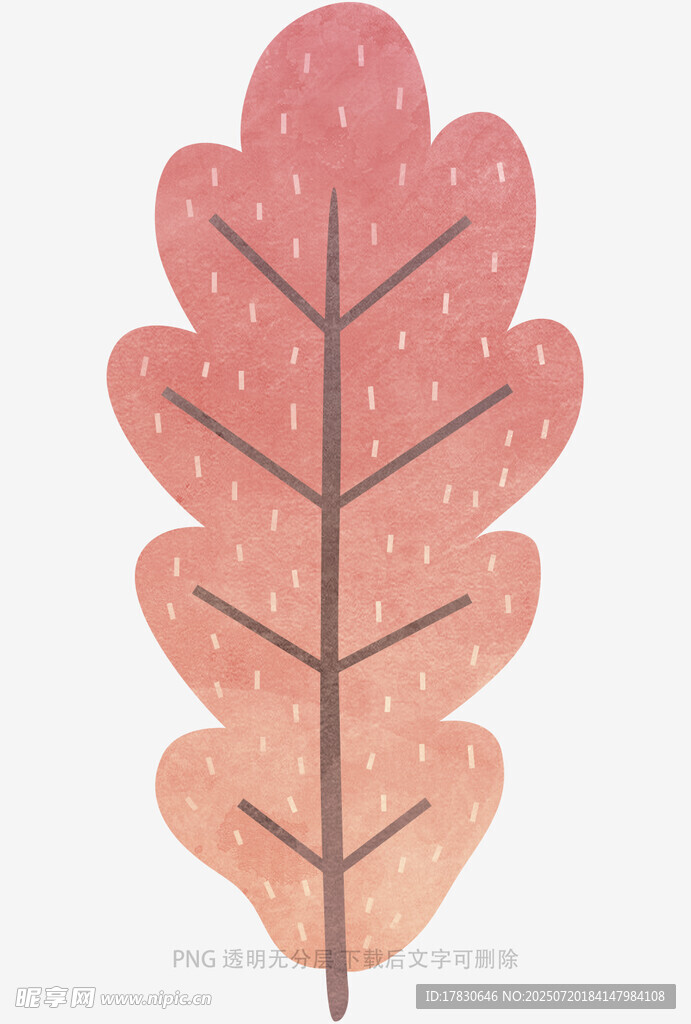 粉色叶脉装饰叶插画