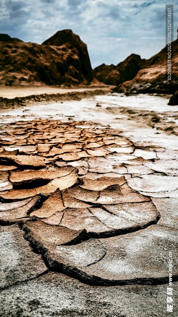 干裂土地景象