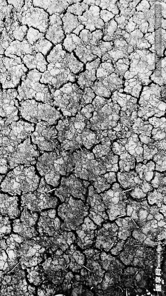 干裂土地纹理特写