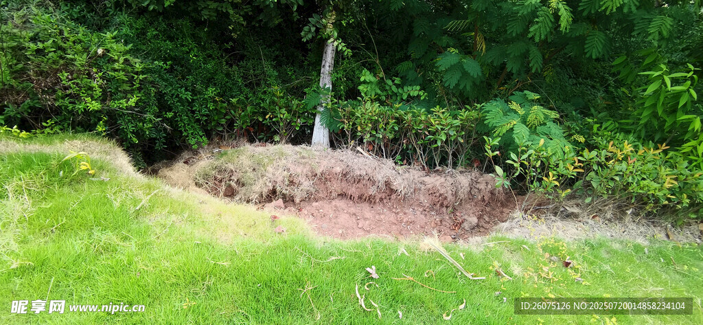坍塌的草地与树木