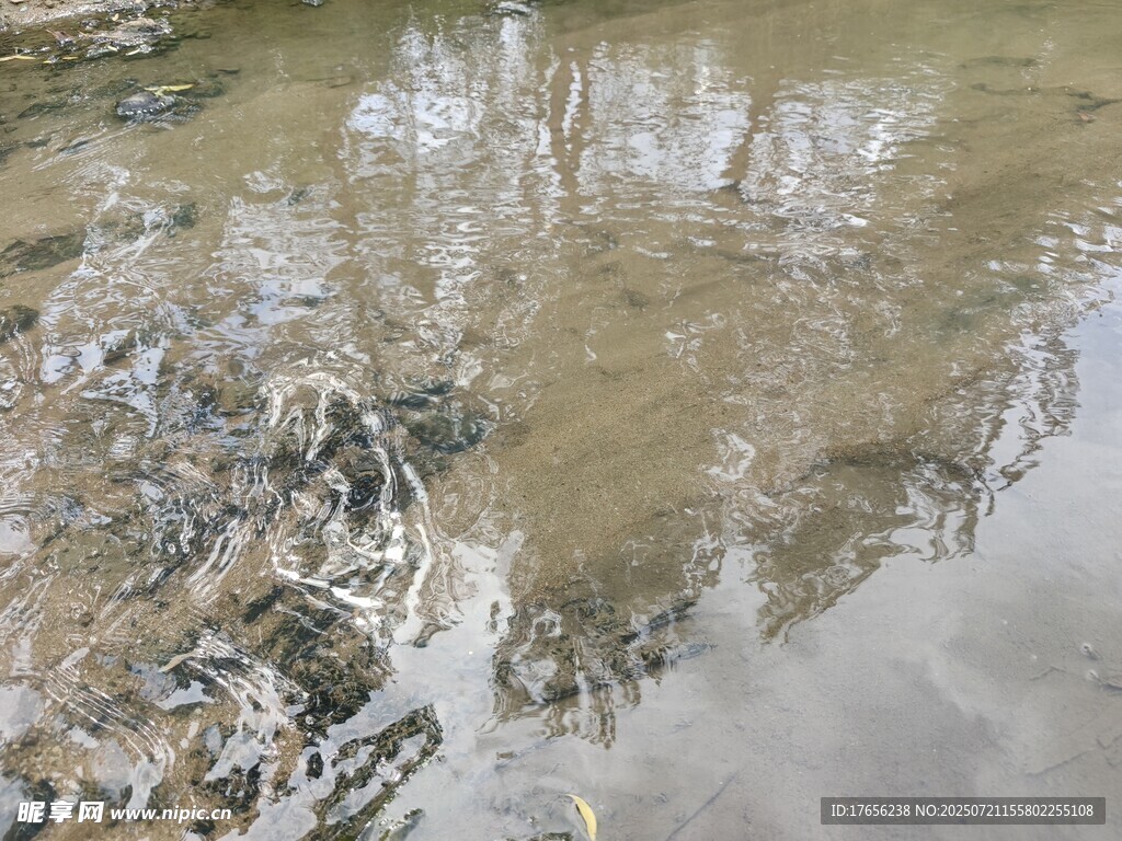 泥泞积水地面景象