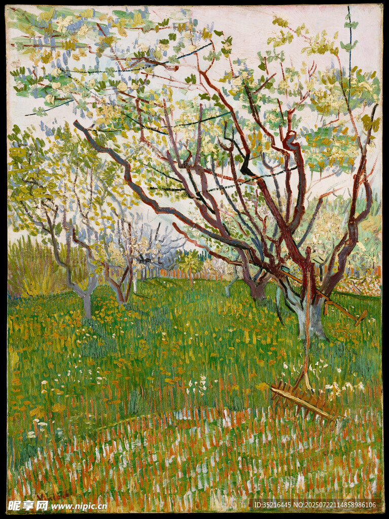 春日繁花盛开的树林景色