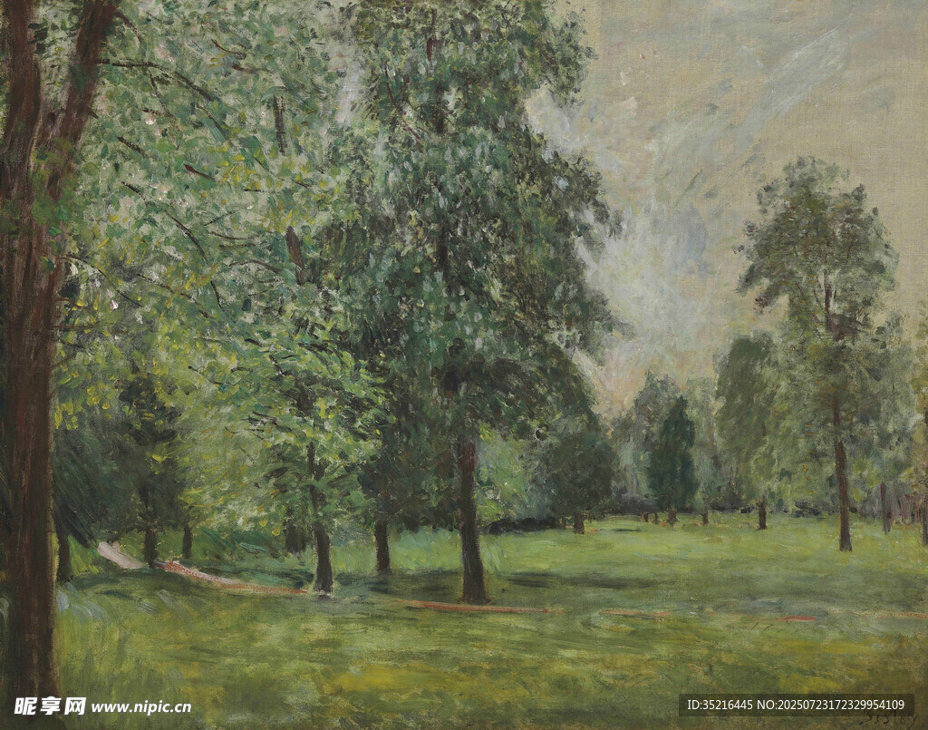 夏日林间草地风景图