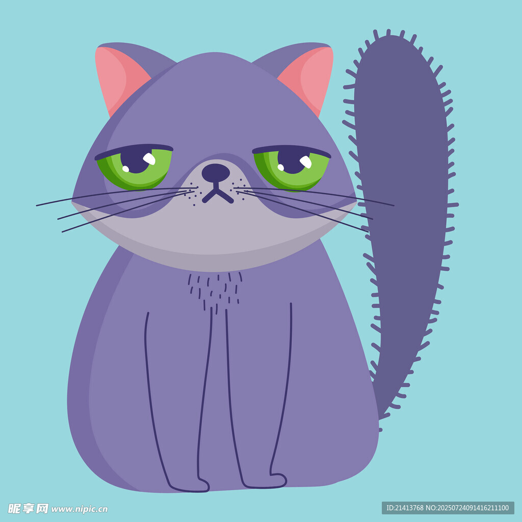 紫色猫咪的可爱模样