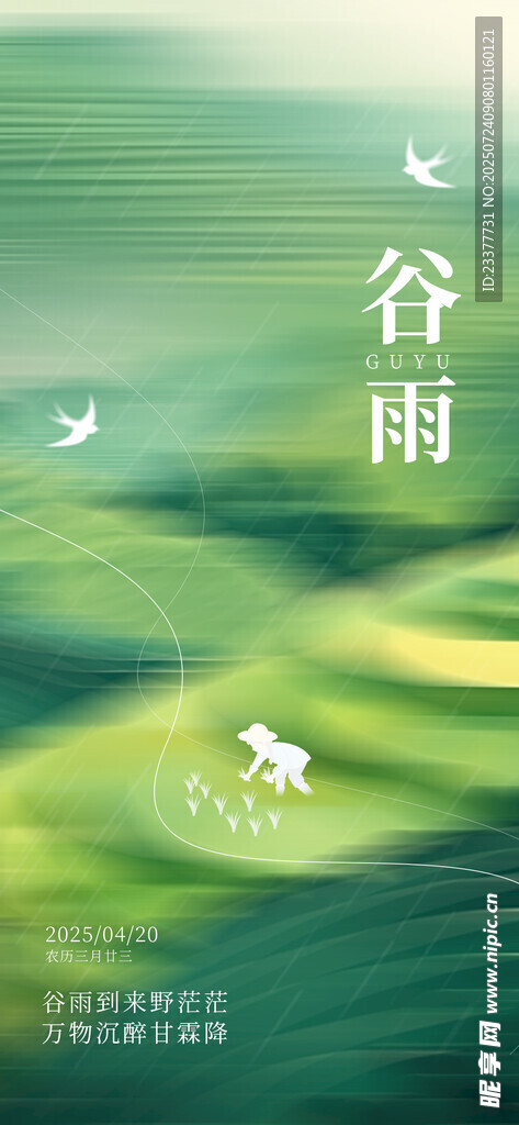 种水稻清明节春分谷雨春天绿色