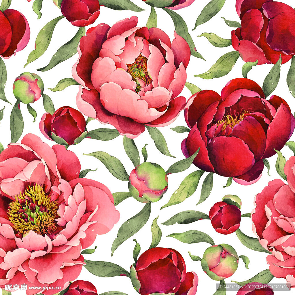水彩风盛开牡丹花卉图案